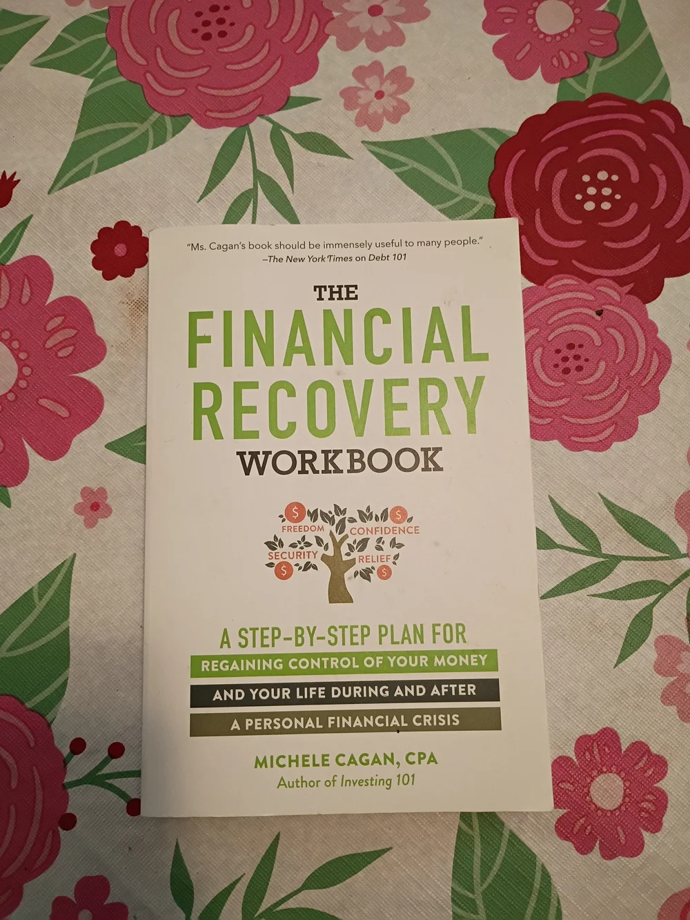 The Financial Recovery Workbook by Michele Cagan - White & Green Cover